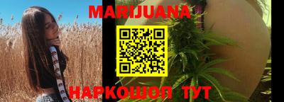стаф Будённовск
