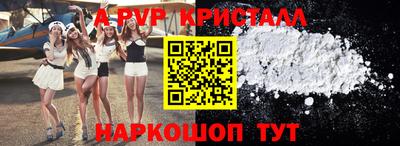 стаф Будённовск