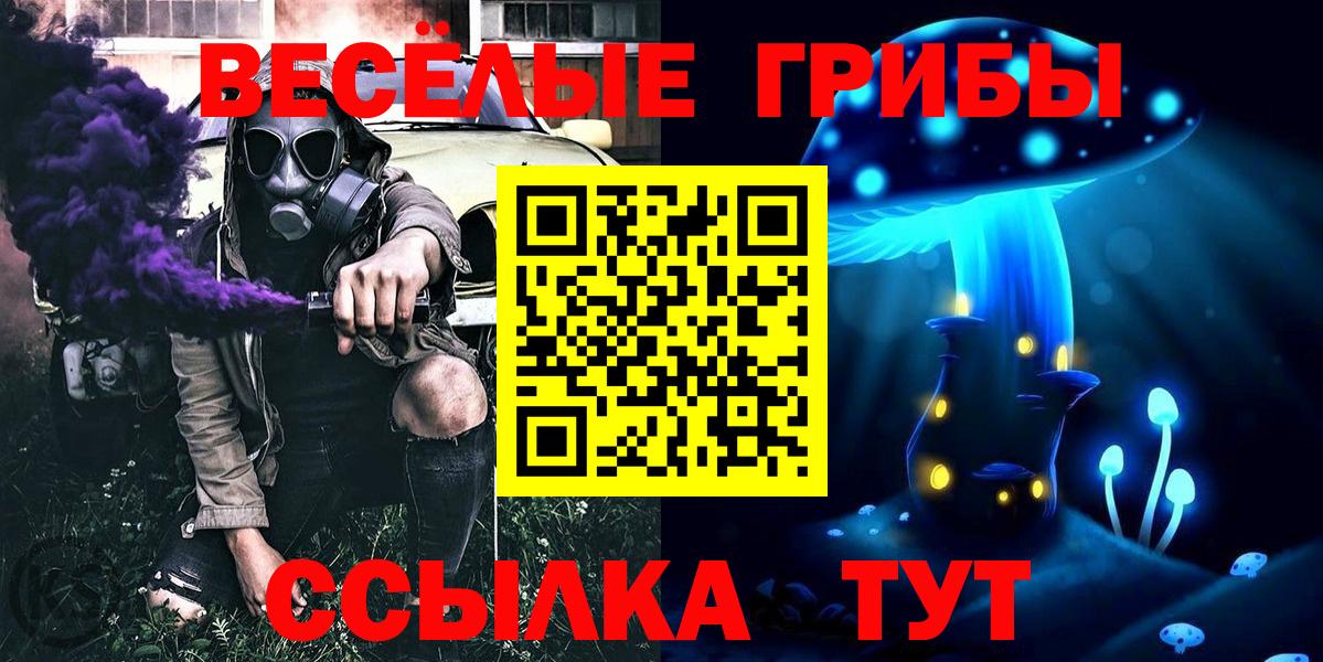 где купить наркотик  Вход с VPN  Ногинск  Галлюциногенные грибы мухоморы 